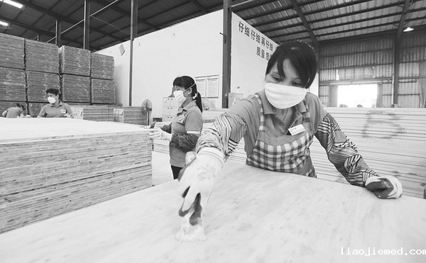 壮乡生态板走俏“一带一路”沿线国家