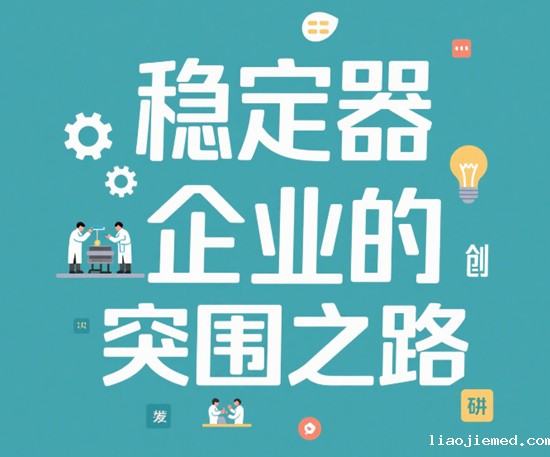 稳定器企业的突围之路：从单一功能到多元应用