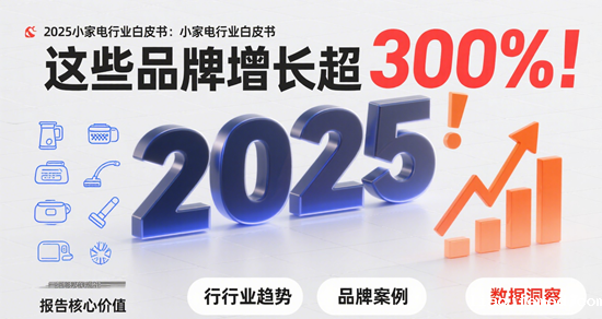 2025小家电行业白皮书：这些品牌增长超300%！