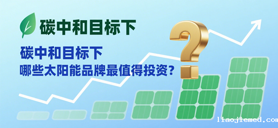 碳中和目标下，哪些太阳能品牌最值得投资？