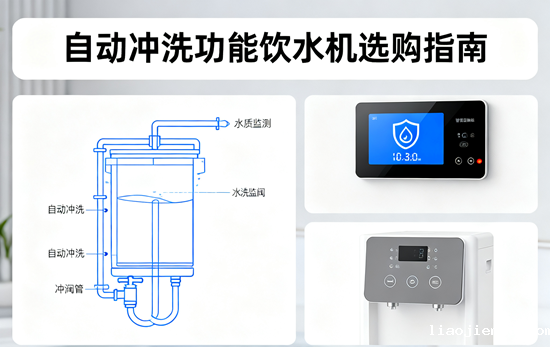 长期出差饮水无忧：自动冲洗功能饮水机选购指南