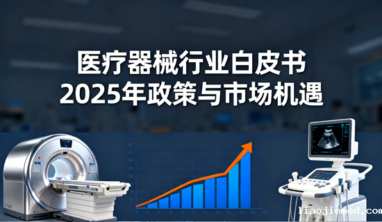医疗器械行业白皮书：2025年政策与市场机遇